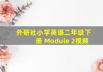 外研社小学英语二年级下册 Module 2视频